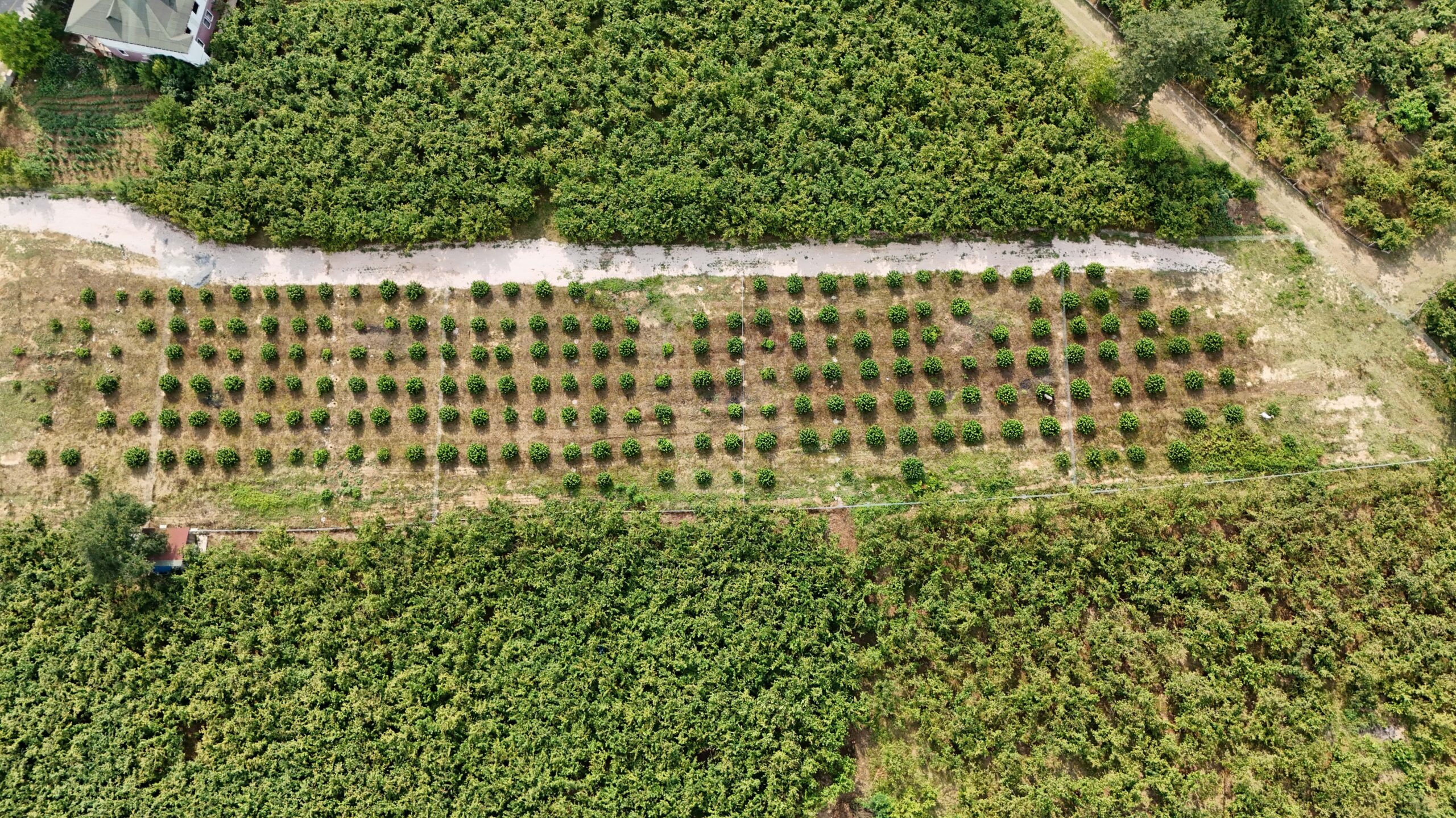 DJI_20240711170030_0004_D-min