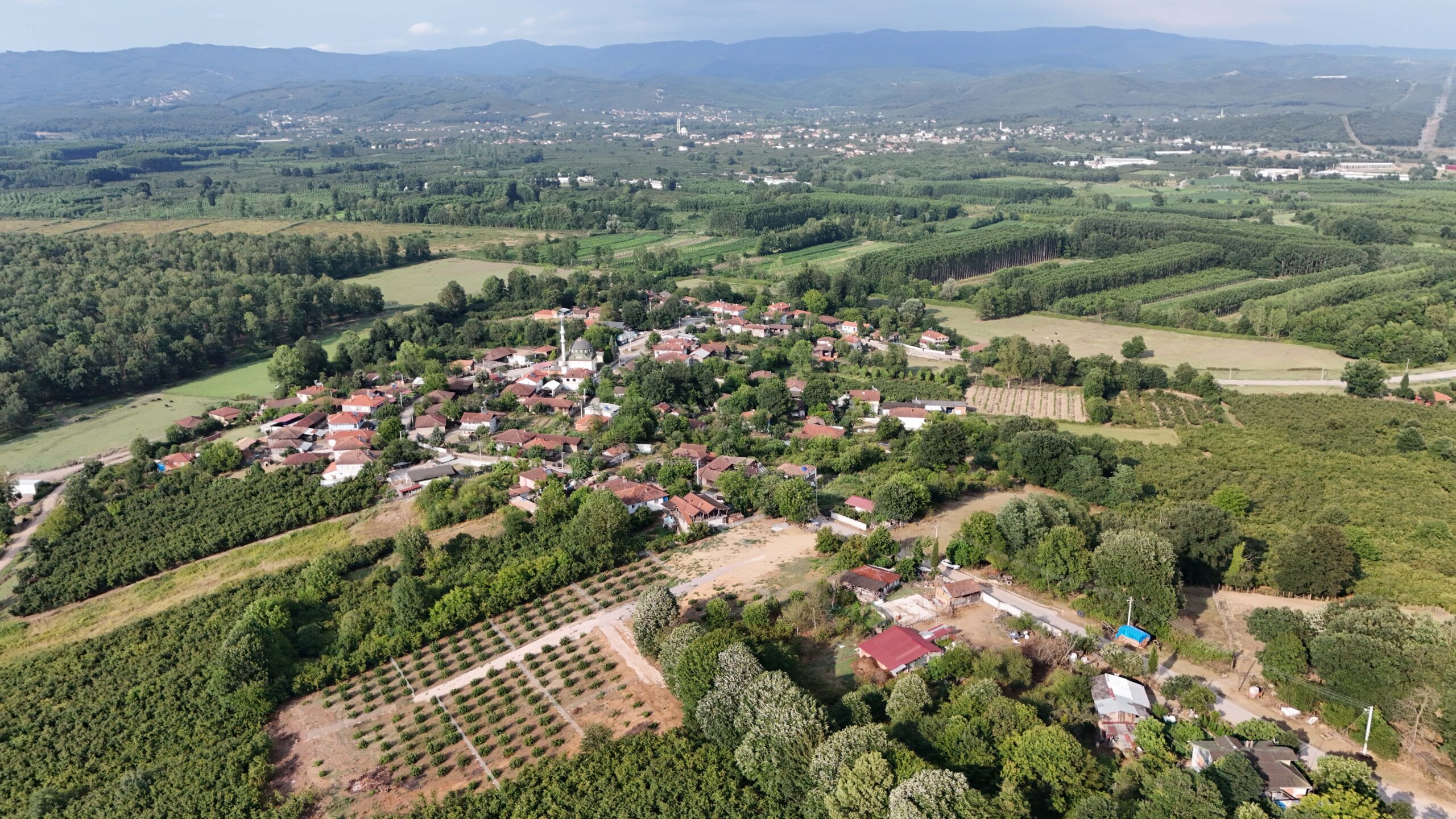 DJI_20240711180010_0006_D-min