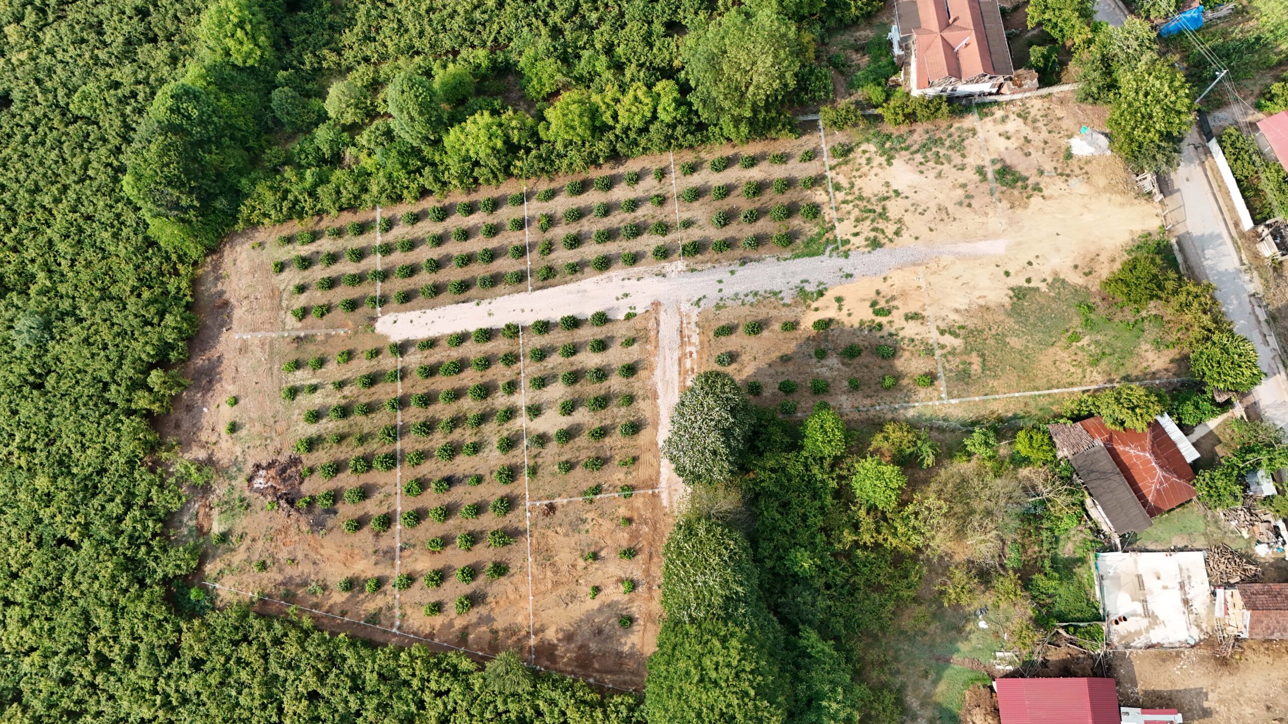 DJI_20240711180151_0009_D-min