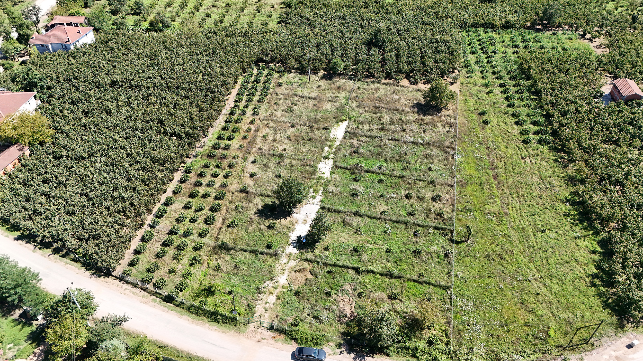 DJI_20240802153340_0115_D