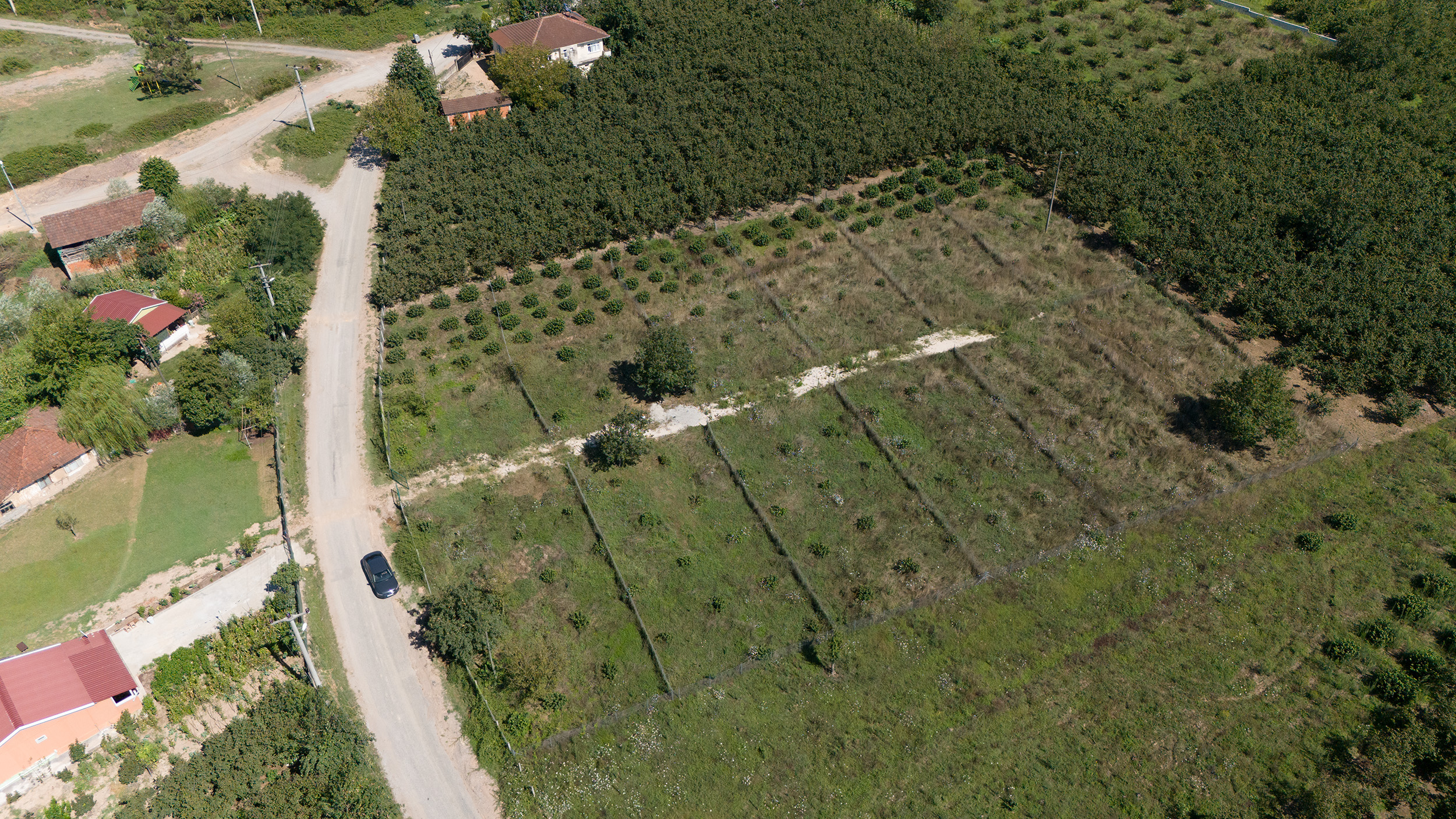 DJI_20240802153358_0116_D