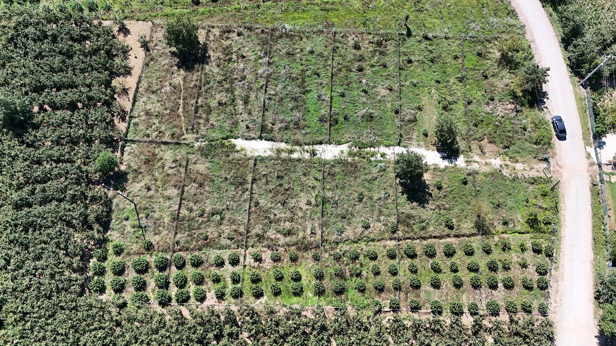 DJI_20240802153532_0121_D