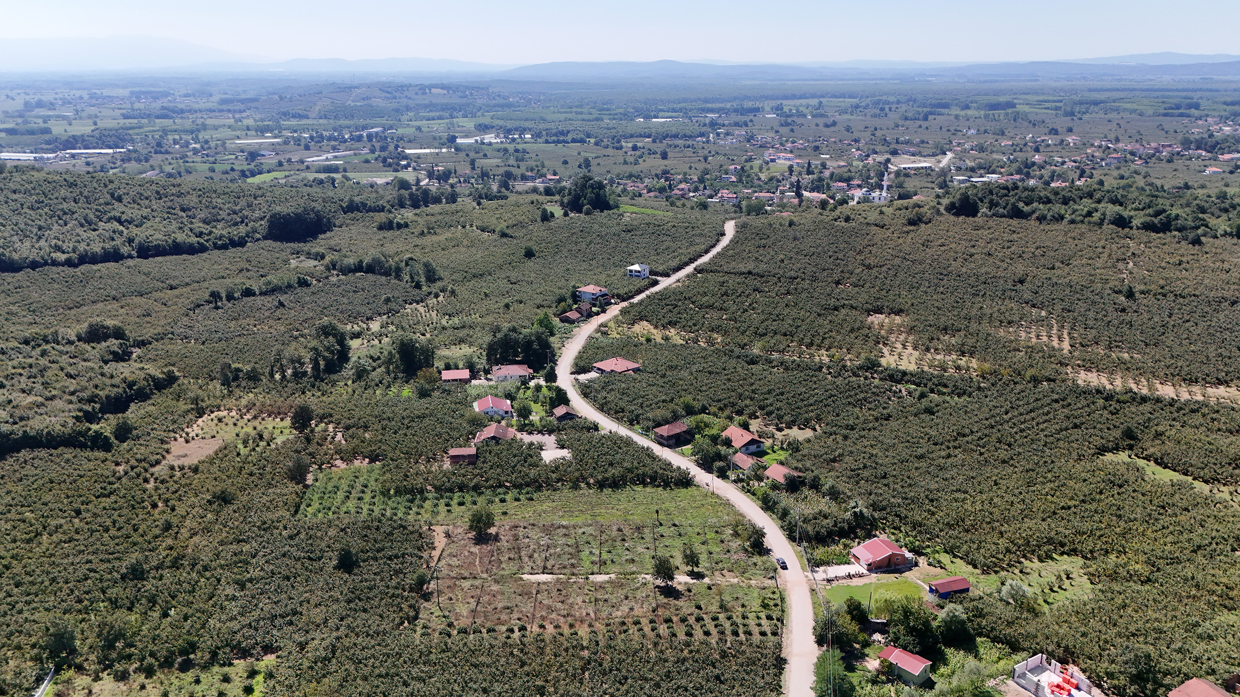 DJI_20240802153605_0122_D