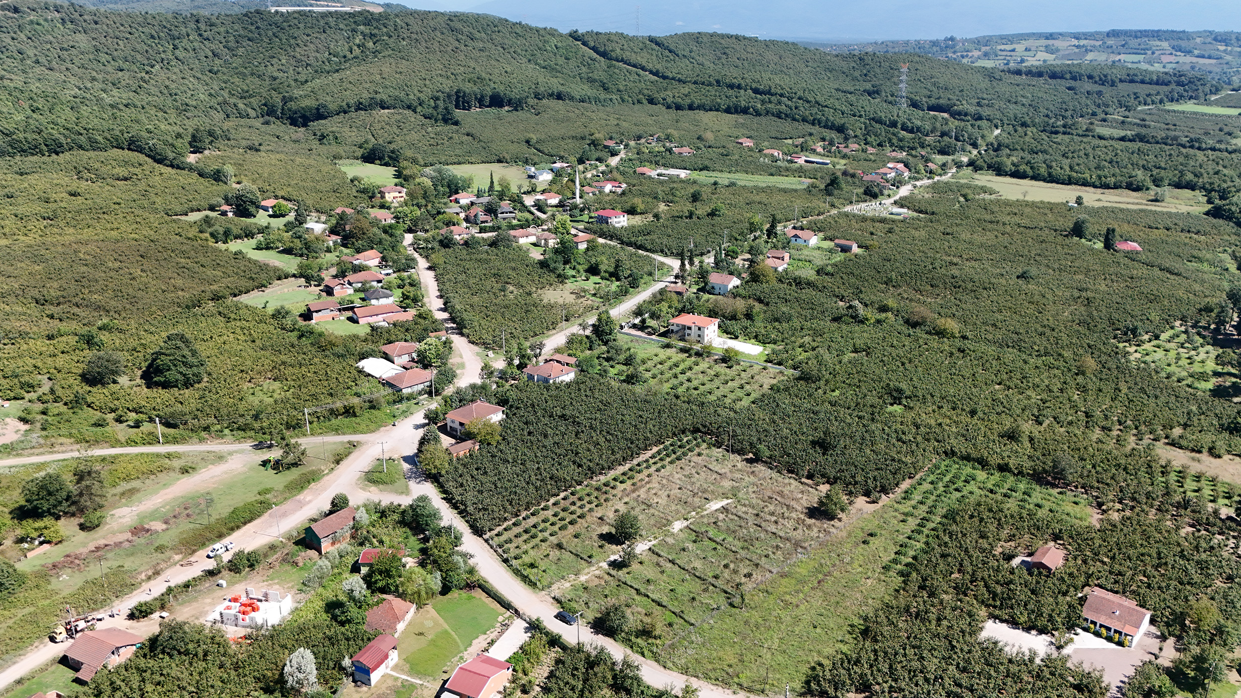 DJI_20240802153653_0123_D