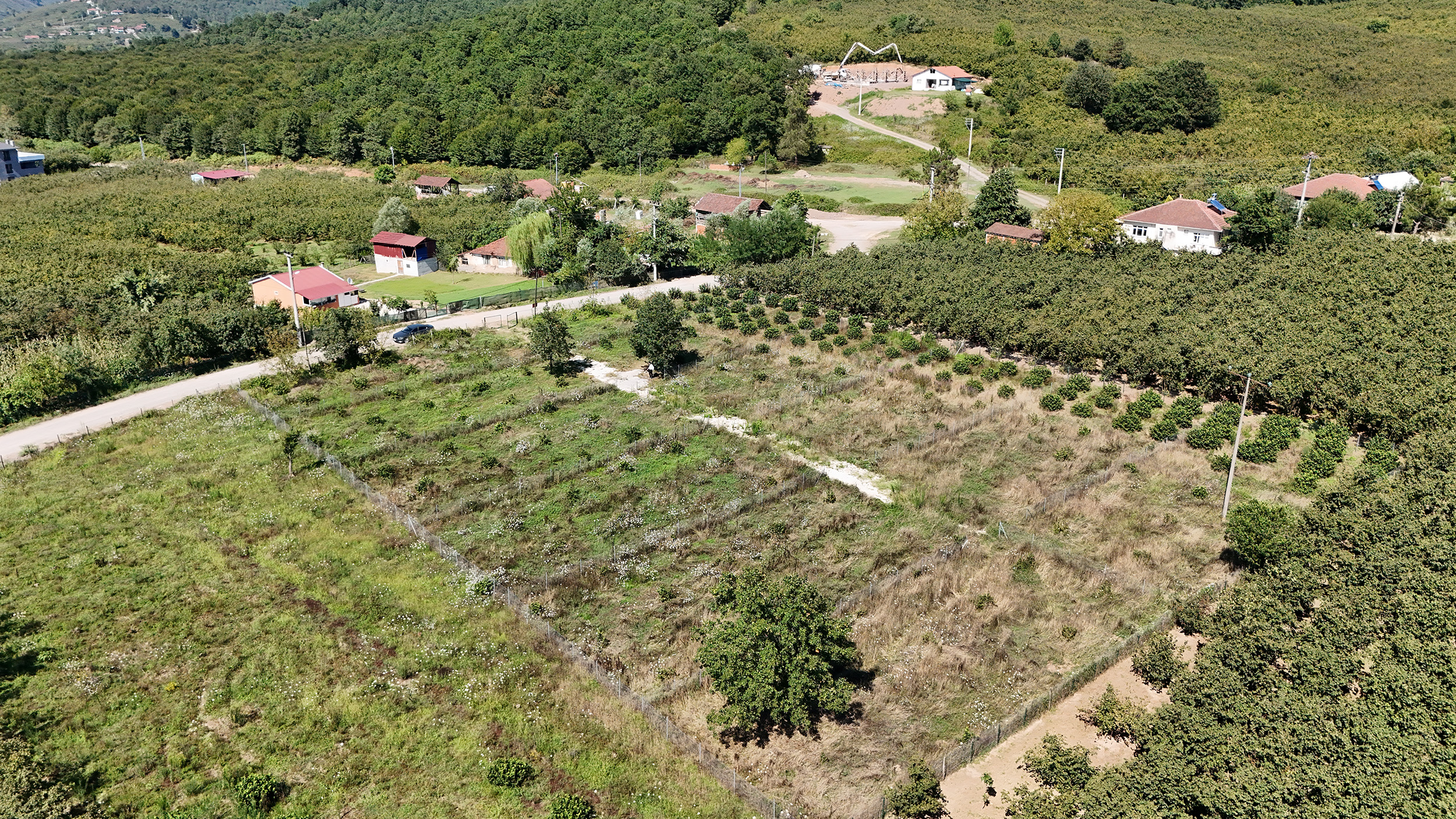 DJI_20240802153912_0126_D