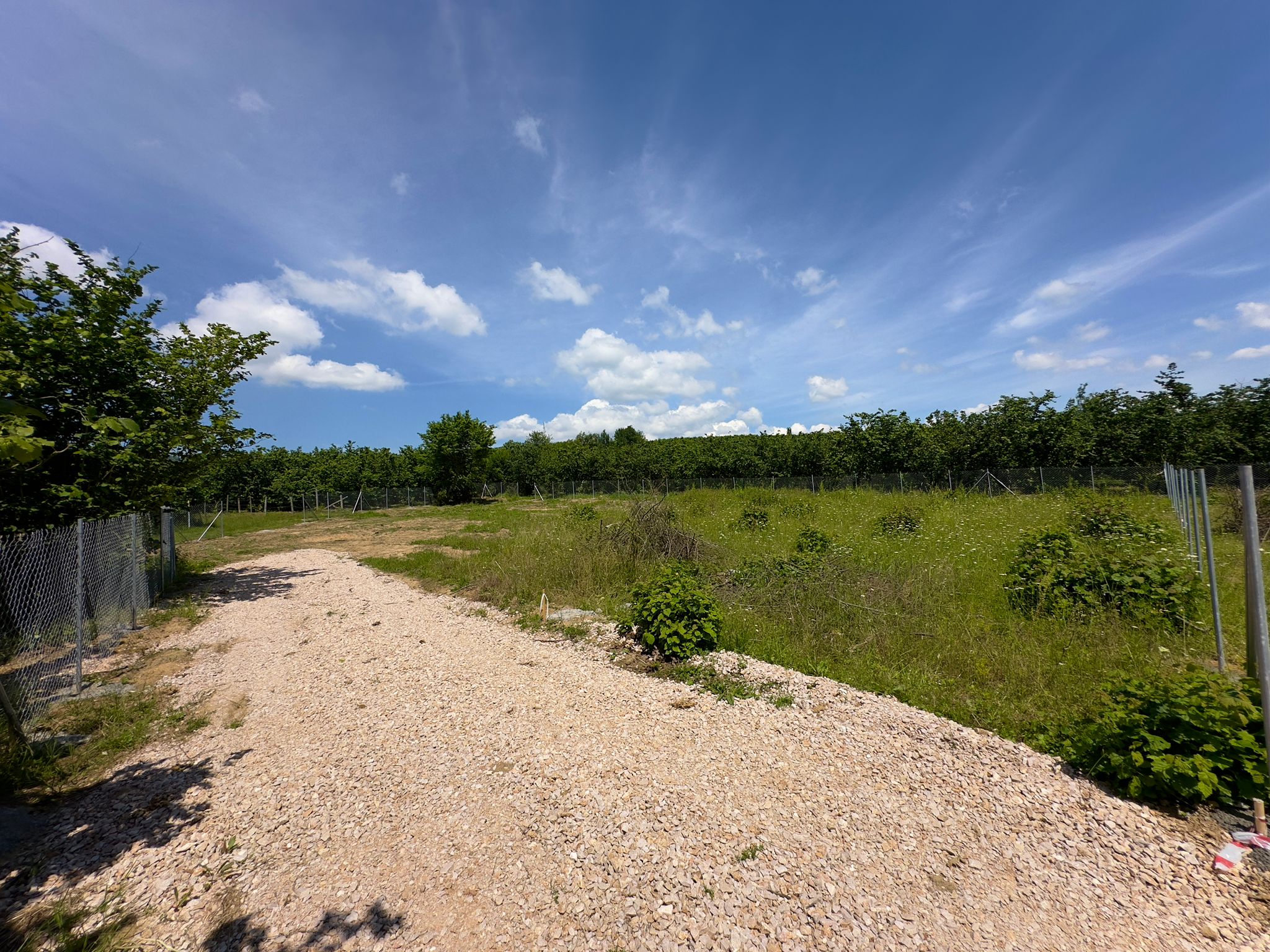 WhatsApp Görsel 2024-09-14 saat 11.44.04_413a50e0