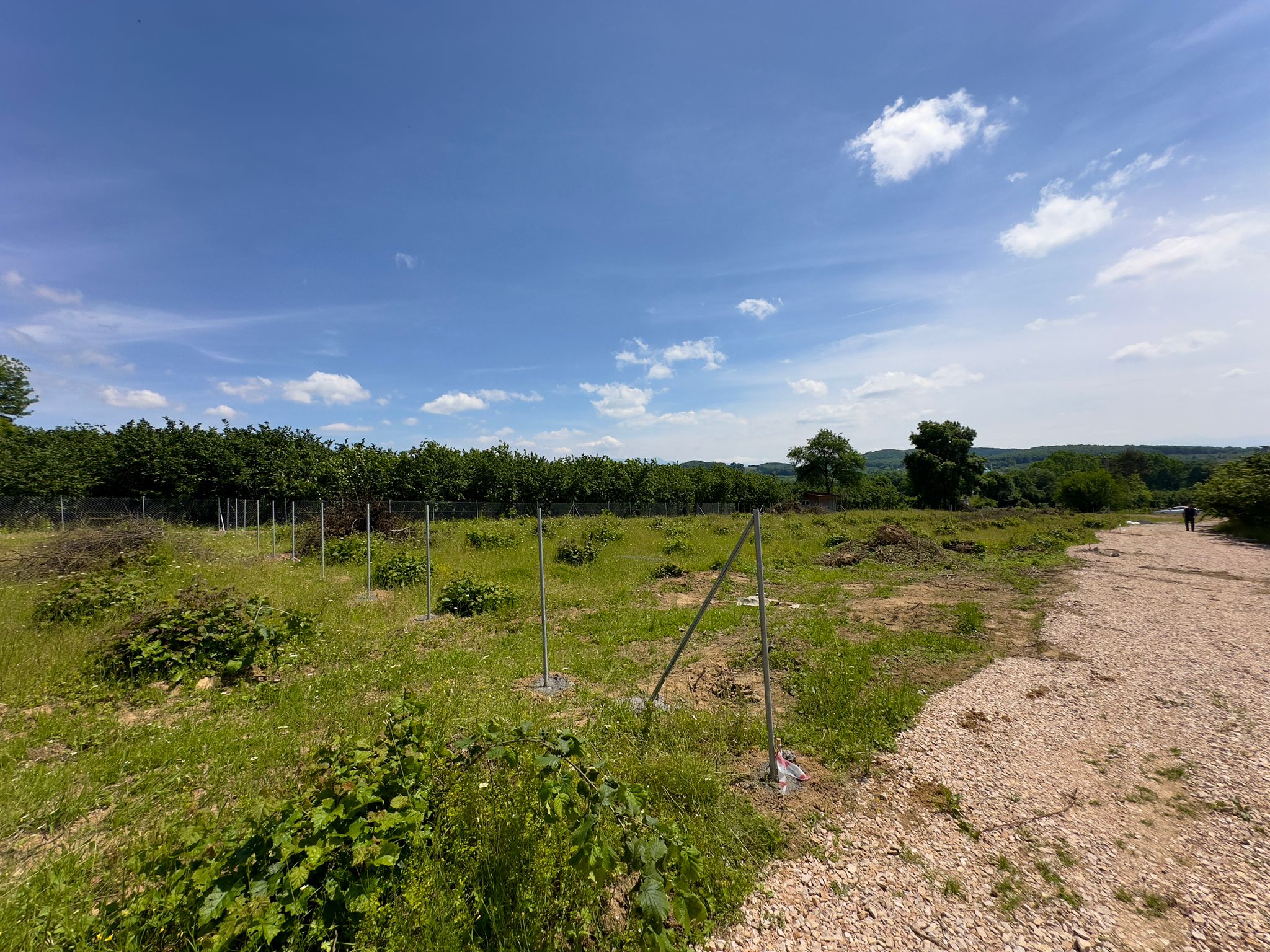 WhatsApp Görsel 2024-09-14 saat 11.44.58_b700d3f8