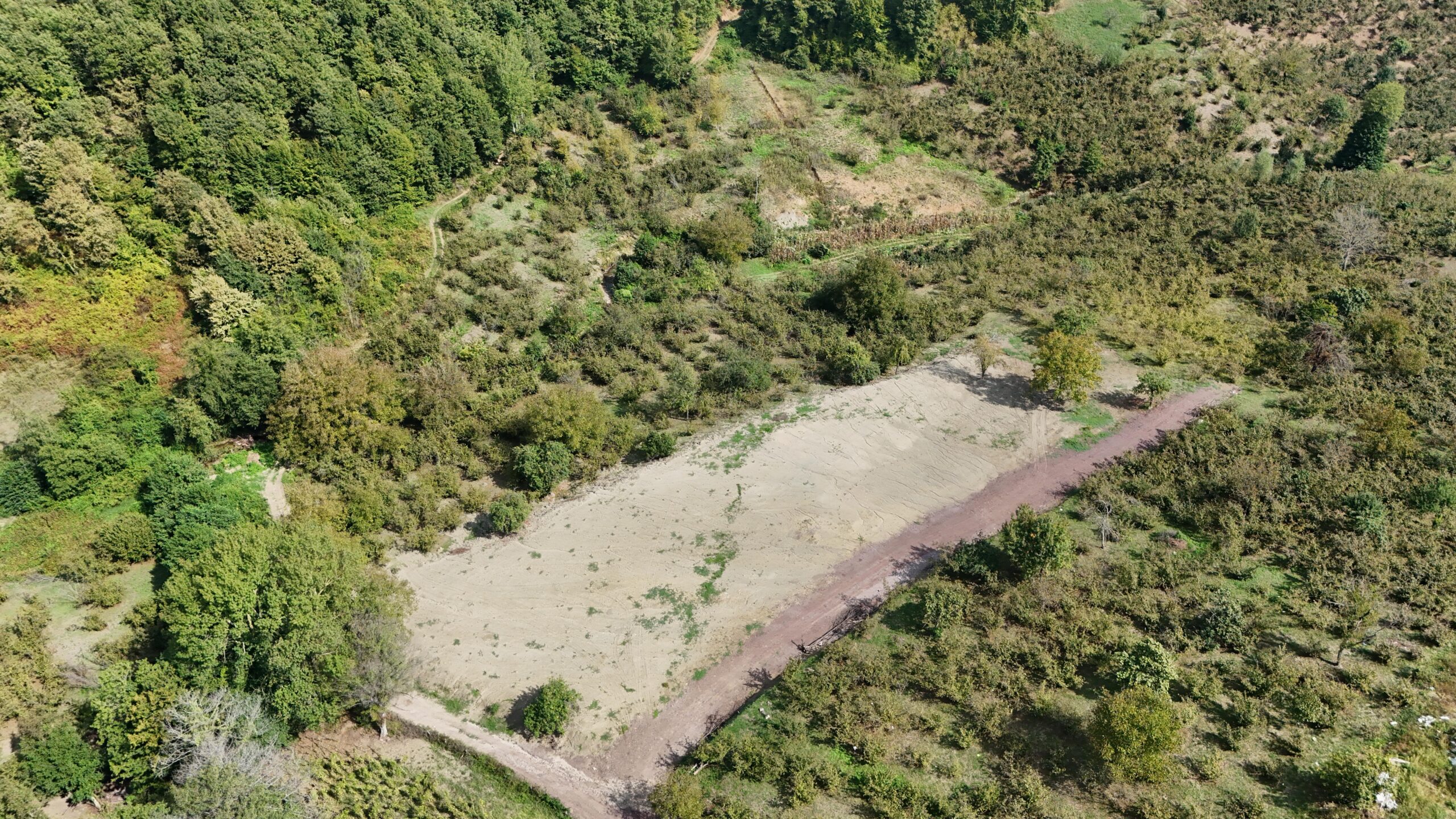 DJI_20240920120118_0234_D_16_11zon